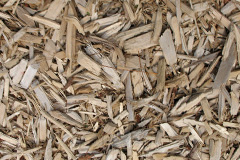 biomass boilers Cundall